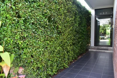 Isayarada Apartment – Foto 6